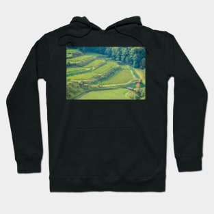 Kaiserstuhl, South-West Germany Hoodie